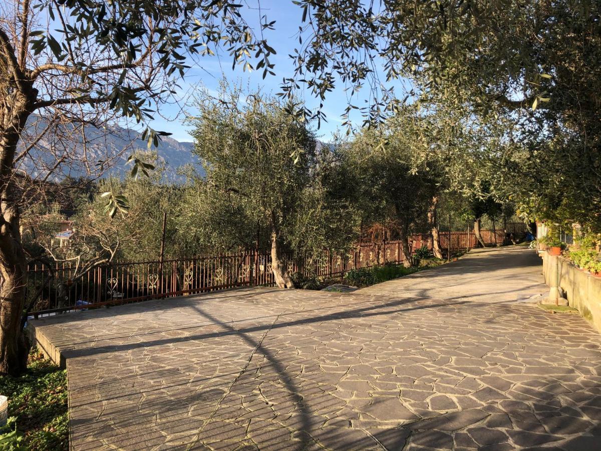 Appartamento Nonna Rosa 马尔切西内 外观 照片